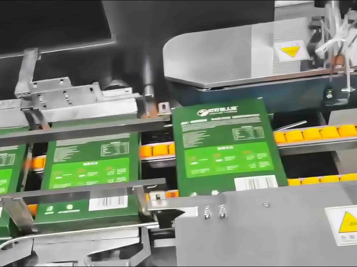Food Carton Filling Packing Machine for Ice Cream Mochi Packaging - Image 5