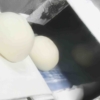 Flour Coating Machine for Mochi Daifuku - Image 3