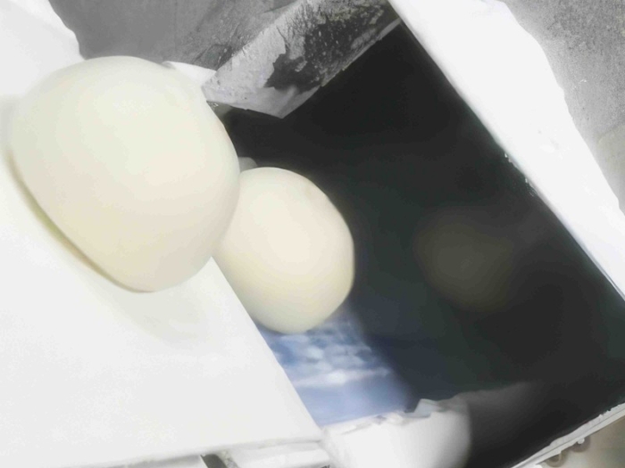 Coating Dusting Machine Line for Mochi Daifuku - Image 3