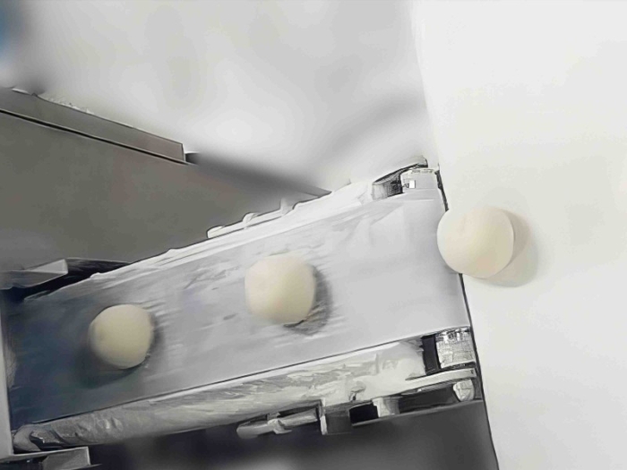 Coating Dusting Machine Line for Mochi Daifuku - Image 5