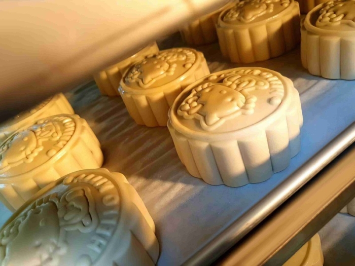 Kahk Maamoul and Bread Baking Oven - Image 3