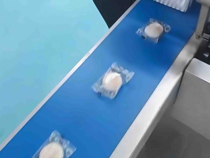 Automatic Packing Machine For Mochi Daifuku - Image 4