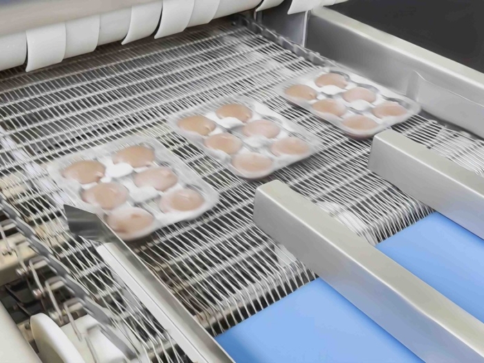 Tunnel Freezer For Ice Cream Mochi Blast Freezing - Image 3