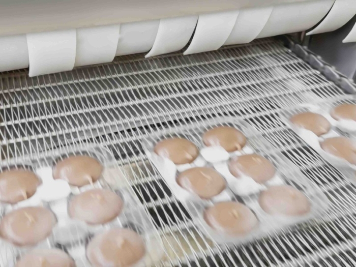 Tunnel Freezer For Ice Cream Mochi Blast Freezing - Image 5