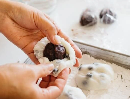 A Complete Guide to Mochi Daifuku Encrusting Machine