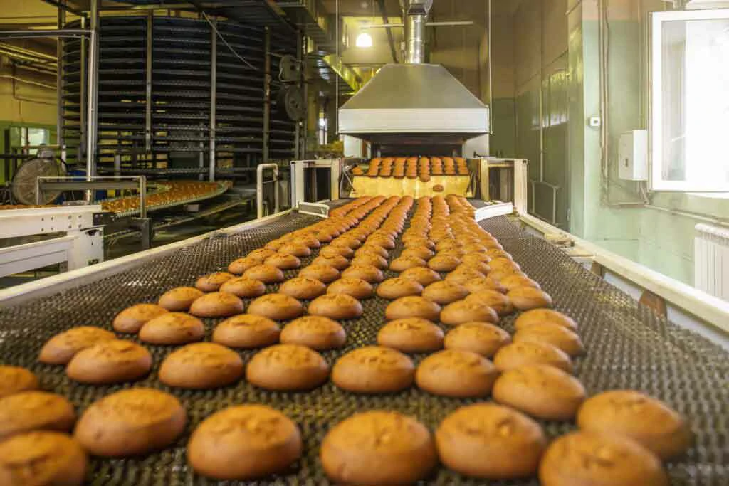an Industrial Bread Making Line