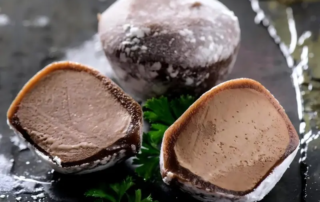Mochi Ice Cream Machine Guide