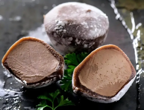 Mochi Ice Cream Machine 101: All You Need to Know